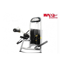 勁道康體設施(在線咨詢)-健身器材